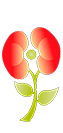 icon-logo